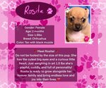 Small #3 Breeder Profile image