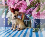 Image preview for Ad Listing. Nickname: Ella