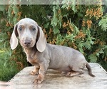 Image preview for Ad Listing. Nickname: Briggs