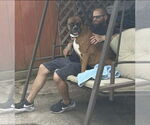 Small #7 Boxer