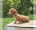 Image preview for Ad Listing. Nickname: Raine