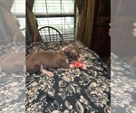 Image preview for Ad Listing. Nickname: Thorn