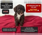 Image preview for Ad Listing. Nickname: Etzel