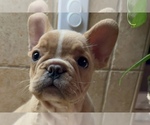 Image preview for Ad Listing. Nickname: Romero