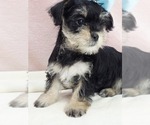 Image preview for Ad Listing. Nickname: joey