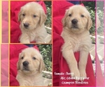 Image preview for Ad Listing. Nickname: Berry