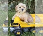 Image preview for Ad Listing. Nickname: Albert