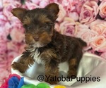 Image preview for Ad Listing. Nickname: Beauti