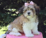 Image preview for Ad Listing. Nickname: Jacey
