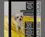 Image preview for Ad Listing. Nickname: Delilah