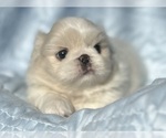 Image preview for Ad Listing. Nickname: Dallas