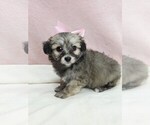 Image preview for Ad Listing. Nickname: maya