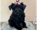 Image preview for Ad Listing. Nickname: Nikki