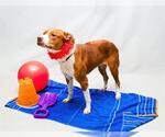 Small #3 Breeder Profile image