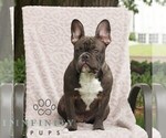 Image preview for Ad Listing. Nickname: Charlie