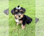 Image preview for Ad Listing. Nickname: Chloe