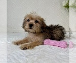 Image preview for Ad Listing. Nickname: Sydney