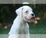 Image preview for Ad Listing. Nickname: Emma