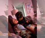 Small #1 Rottweiler