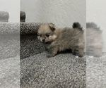  - Photo #2