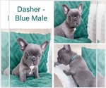 Image preview for Ad Listing. Nickname: Dasher