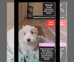 Image preview for Ad Listing. Nickname: Ulsa