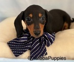 Image preview for Ad Listing. Nickname: Black Tan