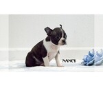 Image preview for Ad Listing. Nickname: Litter of 2
