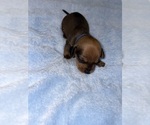 Image preview for Ad Listing. Nickname: Blue