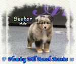 Image preview for Ad Listing. Nickname: Seeker