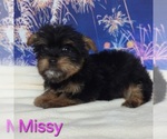 Image preview for Ad Listing. Nickname: Missy