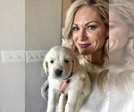 Small Photo #6 English Cream Golden Retriever Puppy For Sale in AZLE, TX, USA