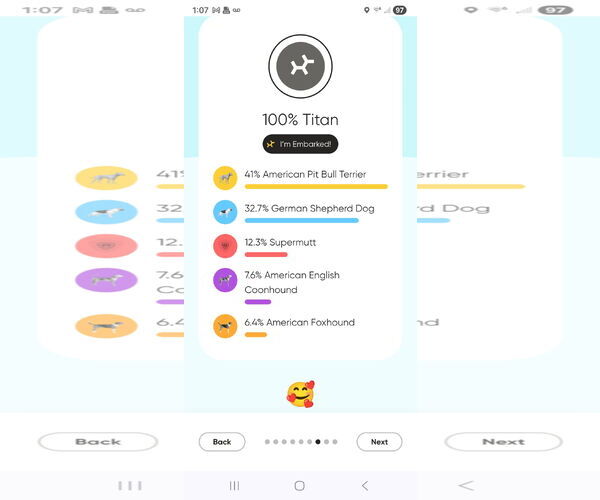 Medium Photo #10 American Pit Bull Terrier-German Shepherd Dog Mix Puppy For Sale in Chester, VA, USA