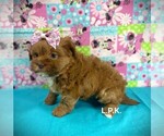 Image preview for Ad Listing. Nickname: Kasey
