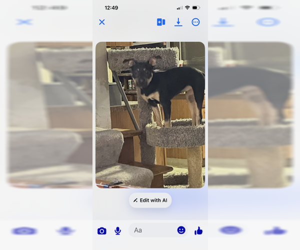 Medium Photo #3 Rottweiler-Unknown Mix Puppy For Sale in Dublin, OH, USA