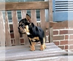 Image preview for Ad Listing. Nickname: Lola
