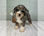 Image preview for Ad Listing. Nickname: Braxton