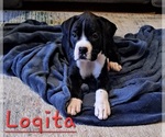 Image preview for Ad Listing. Nickname: Loqita