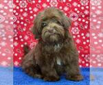 Image preview for Ad Listing. Nickname: Simon