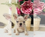 Image preview for Ad Listing. Nickname: Baby