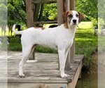 Small #3 Breeder Profile image