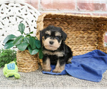 Image preview for Ad Listing. Nickname: James