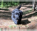 Image preview for Ad Listing. Nickname: Summer
