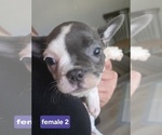 Image preview for Ad Listing. Nickname: Female 1