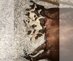 Image preview for Ad Listing. Nickname: 2 Male 1 Female