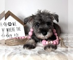 Image preview for Ad Listing. Nickname: Paisley