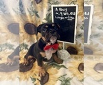 Image preview for Ad Listing. Nickname: Batman