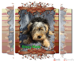 Small Photo #3 Yorkshire Terrier Puppy For Sale in SCOTTSVILLE, KY, USA