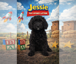 Image preview for Ad Listing. Nickname: Jessie