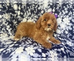 Image preview for Ad Listing. Nickname: Sky